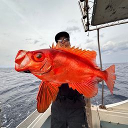 チカメキントキ