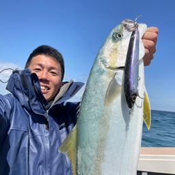 ヒラマサ