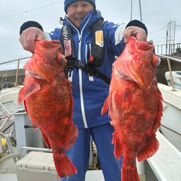 ウッカリカサゴ