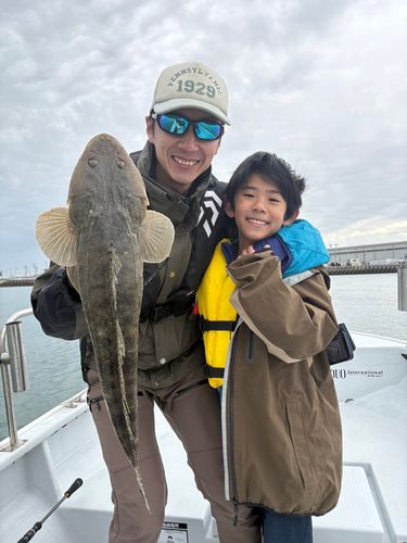 マゴチの釣果