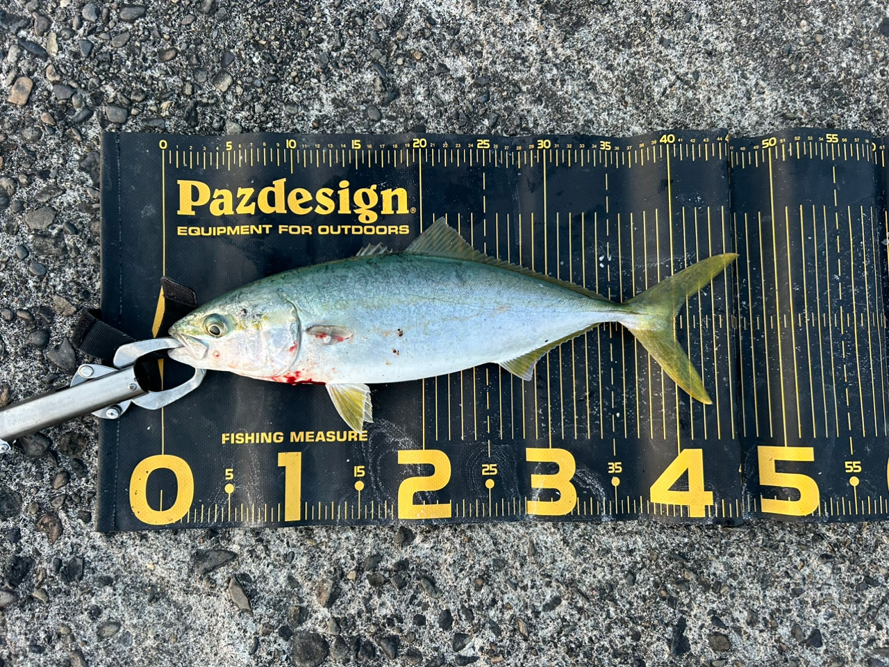 SHIMANO 22エクスセンス ∞ (インフィニティ) S96MLの最安値 SHIMANO 22エクスセンス ∞ (インフィニティ) S96MLの最安値