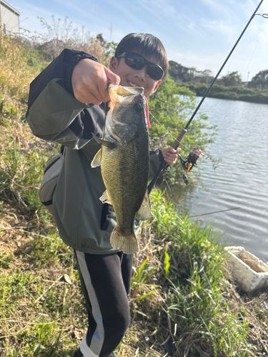 釣果