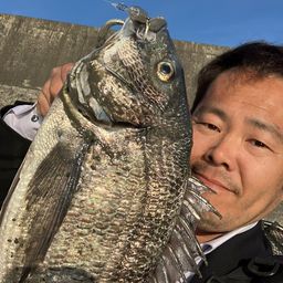 チヌ