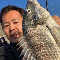 チヌ
