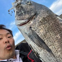 チヌ