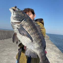 クロダイ