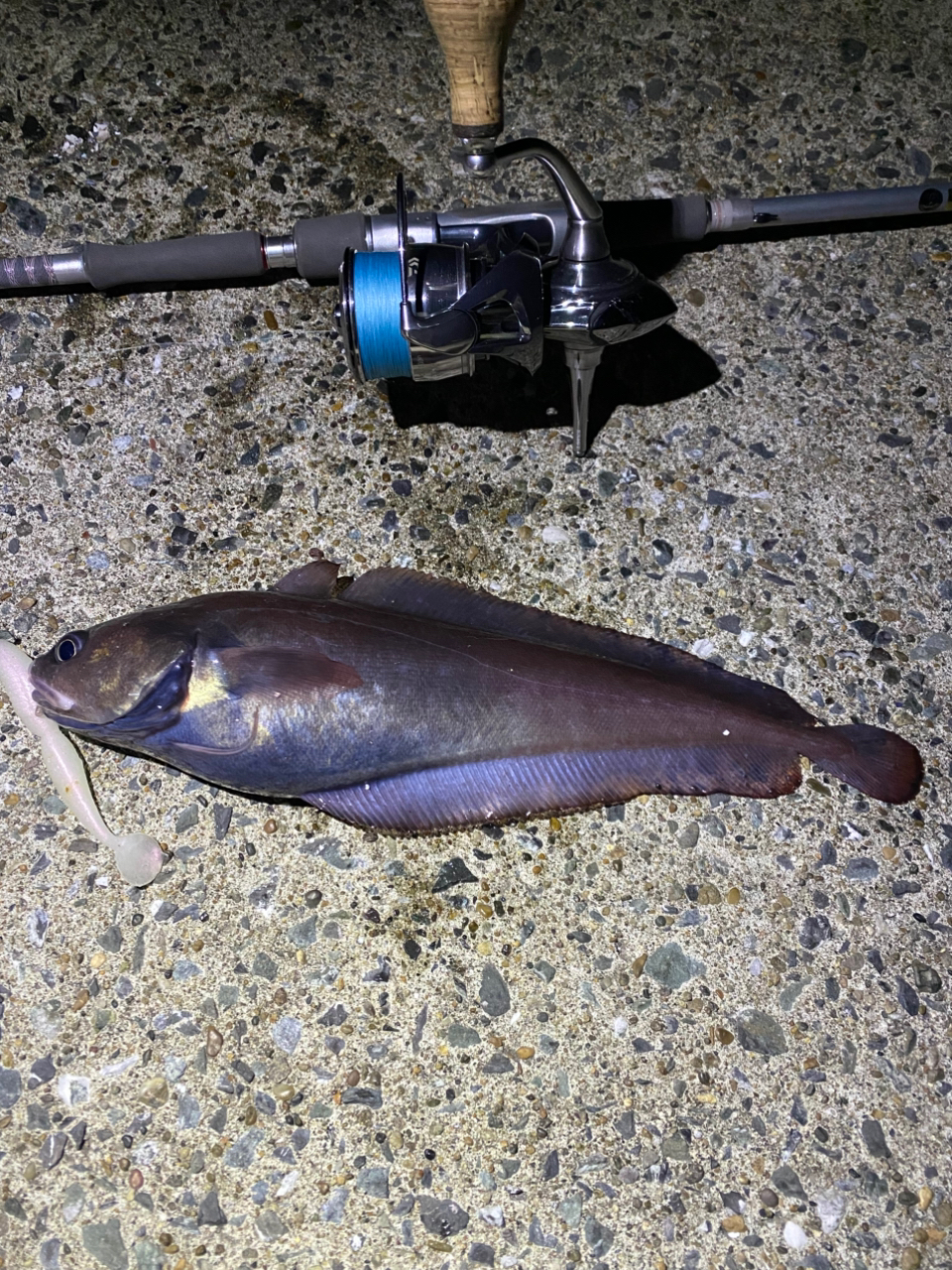 DAIWA 22ハートランド AGS 852ML+FS-SV AGS22の最安値・インプレ