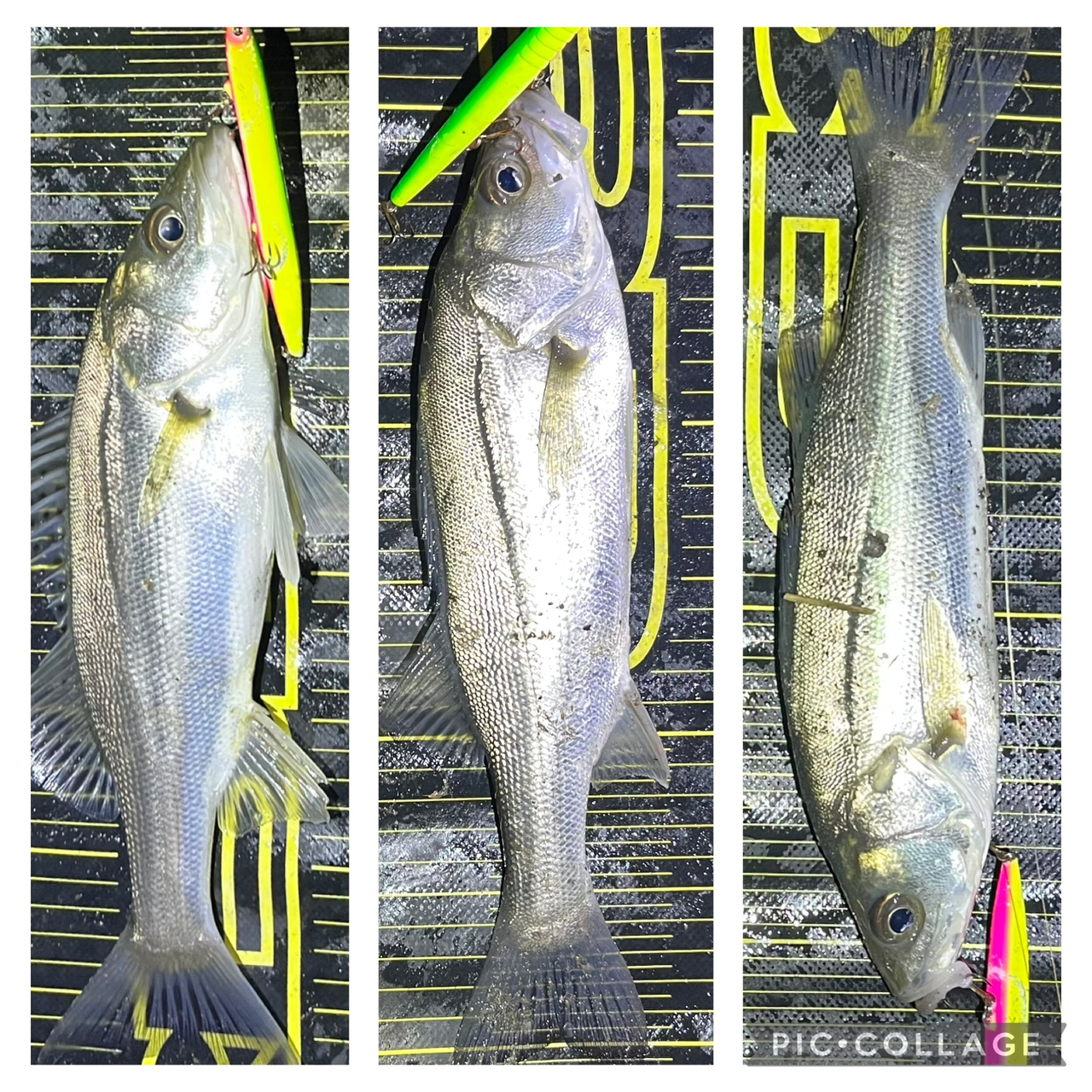 APIA フージン' Z GENEROUS 94Mの最安値・インプレ・釣果 APIA フージン' Z GENEROUS 94Mの最安値・インプレ・釣果