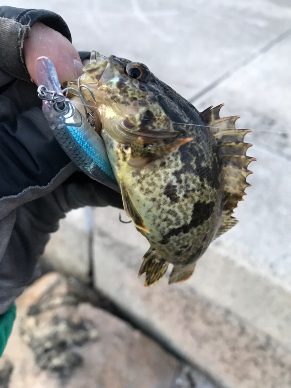 YAMAGA Blanks 20ブルーカレント 3 76 Streamの最安値・インプレ