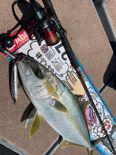 2馬力ボート タイラバ ジギング イカ