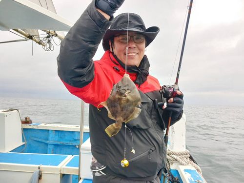 カワハギの釣果