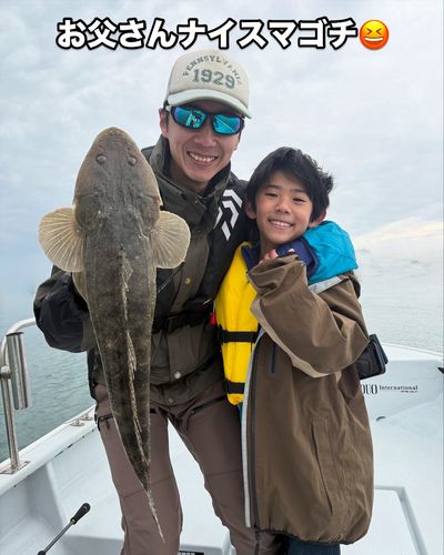 マゴチの釣果