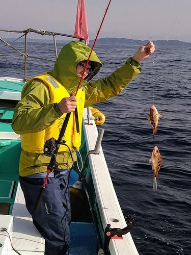 オキメバルの釣果