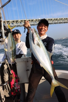 ブリの釣果