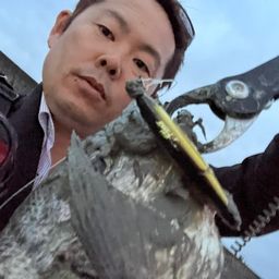 チヌ