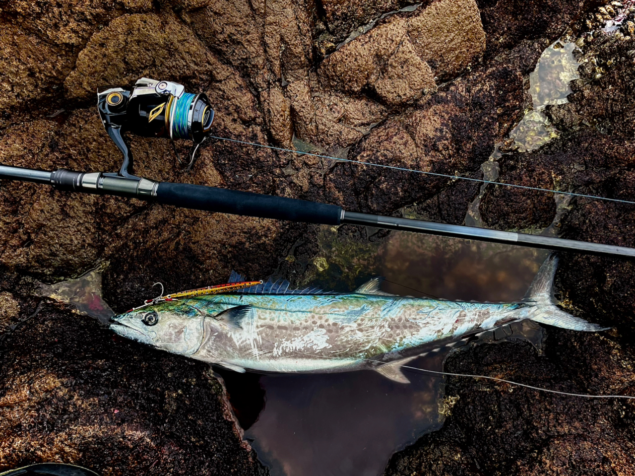 SHIMANO 22コルトスナイパー リミテッド S104XH/PSの最安値