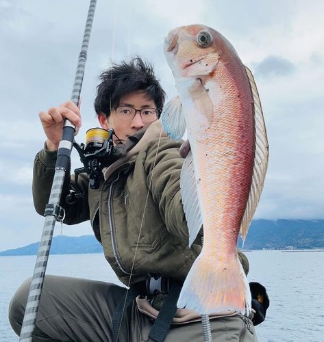 シロアマダイの釣果