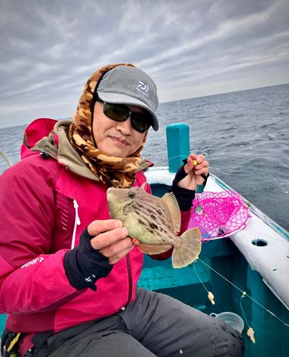 カワハギの釣果