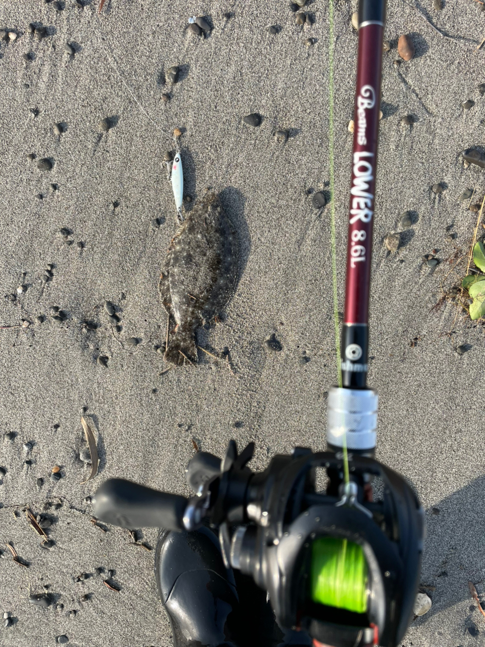 DAIWA 19タトゥーラ TW 100XHLの最安値・インプレ・釣果 | 本音
