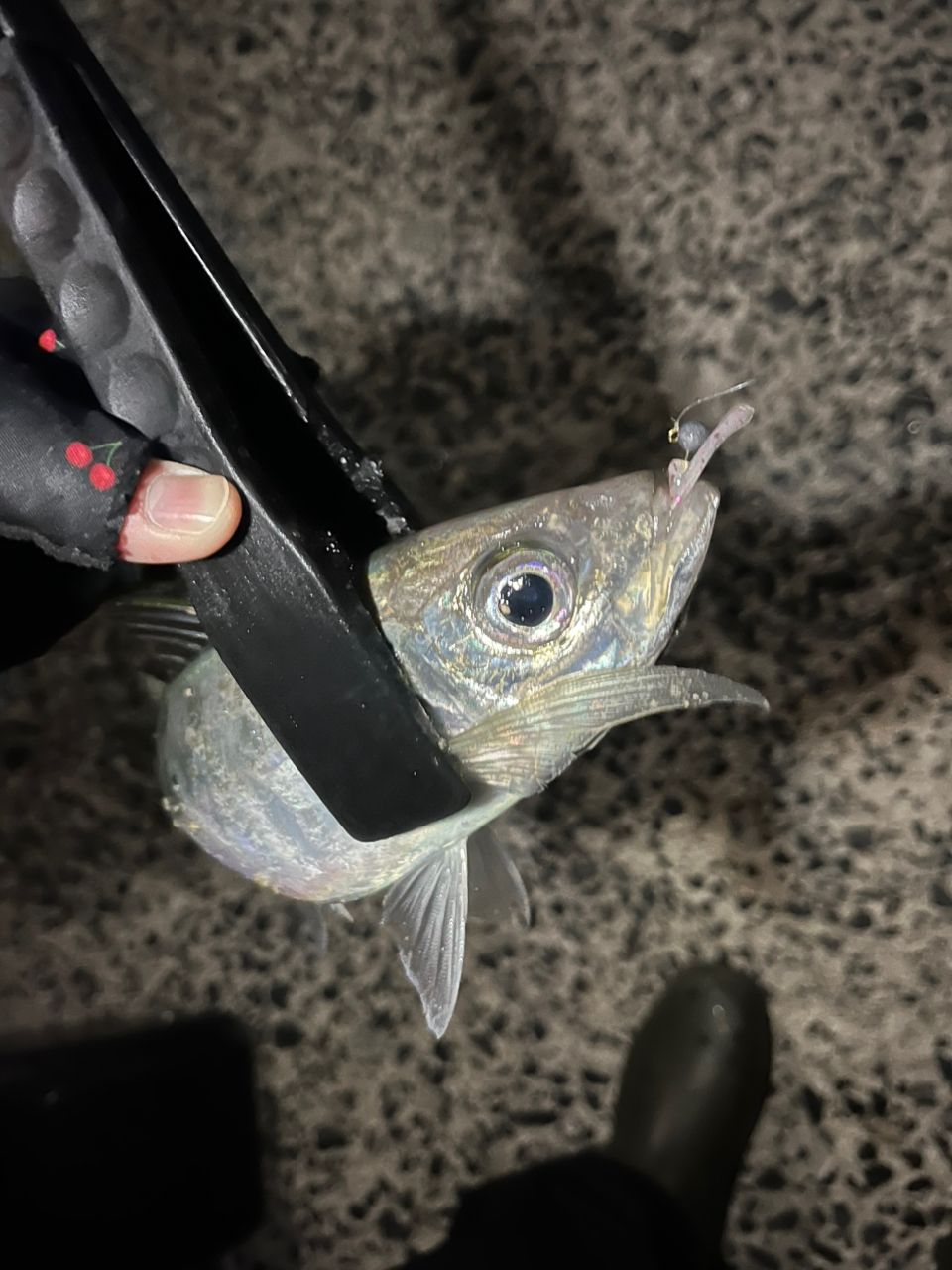 アジ