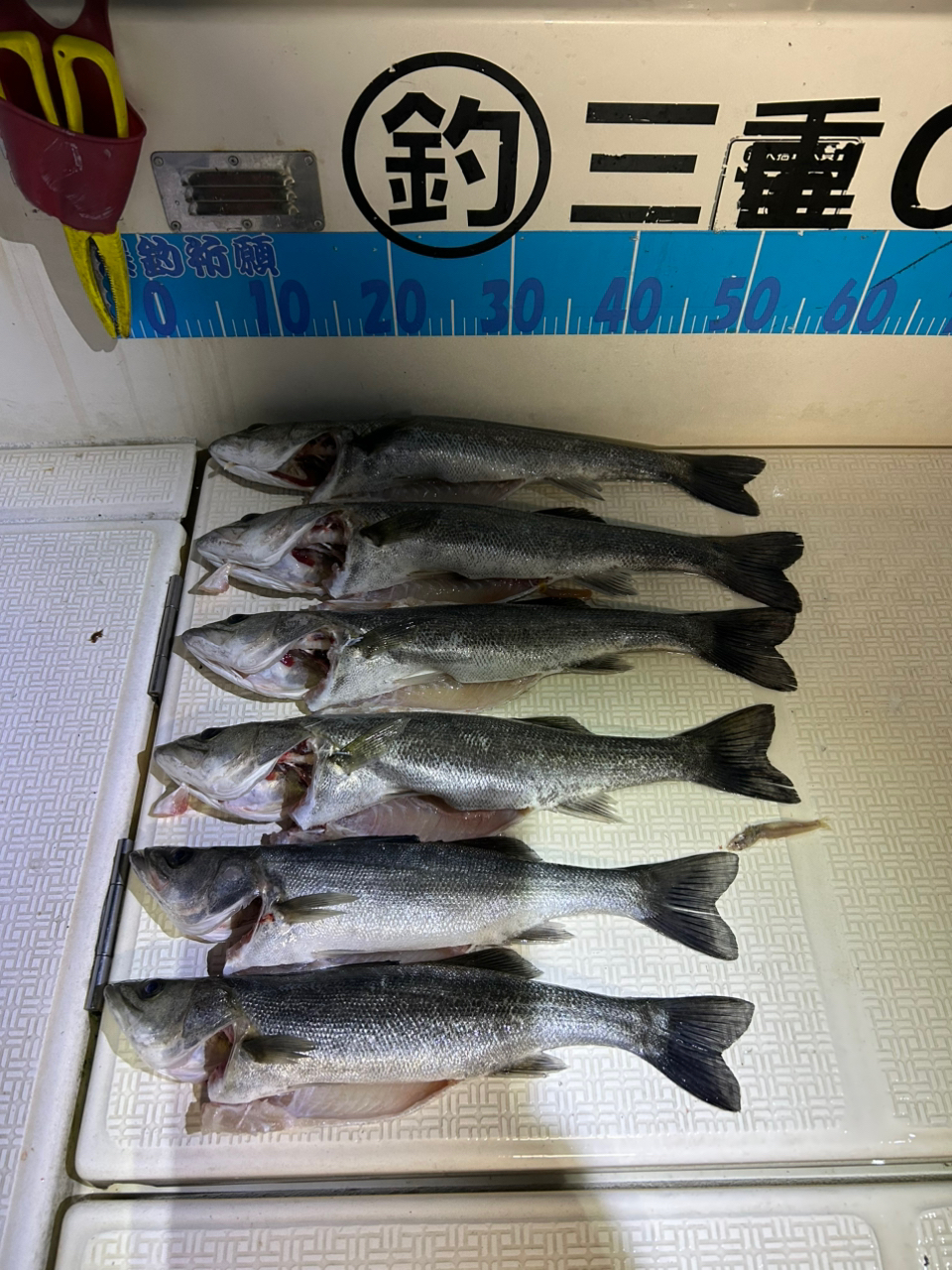 SHIMANO ディアルーナ BSの最安値・インプレ・釣果 | 本音の