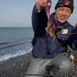 タコ