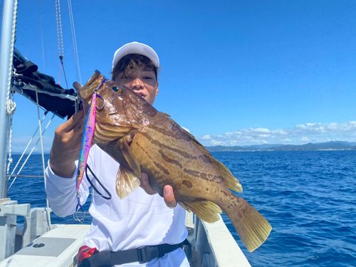ホウキハタの釣果