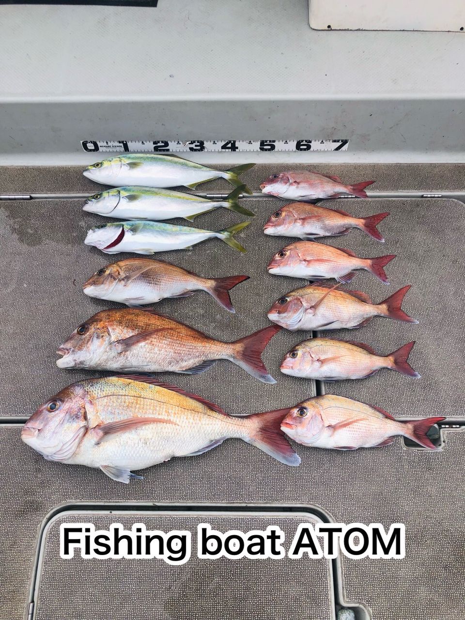 fishingboat.atomさんの釣果 2枚目の画像