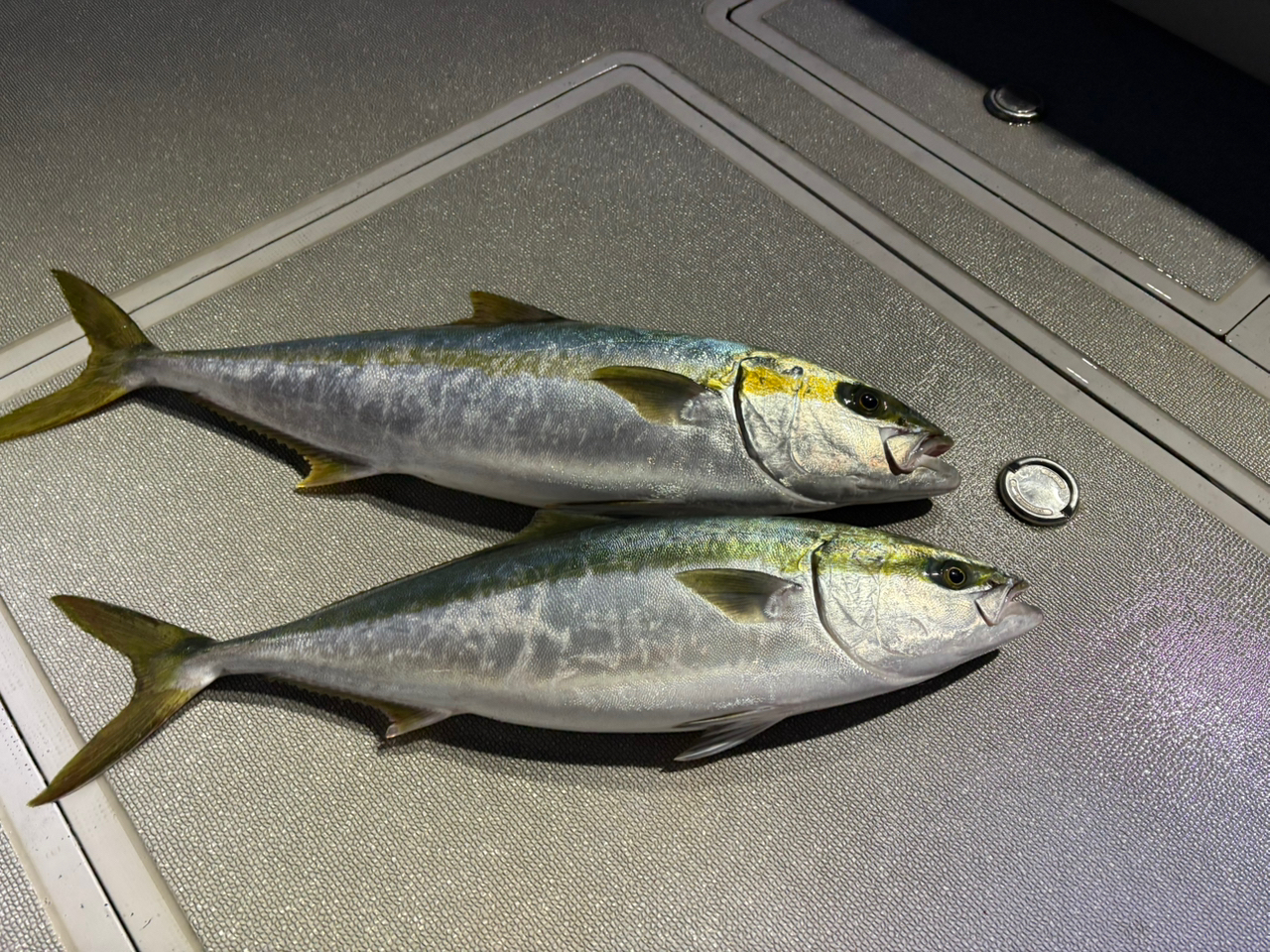 SHIMANO 21オシアプラッガー リミテッド S88Hの最安値・インプレ