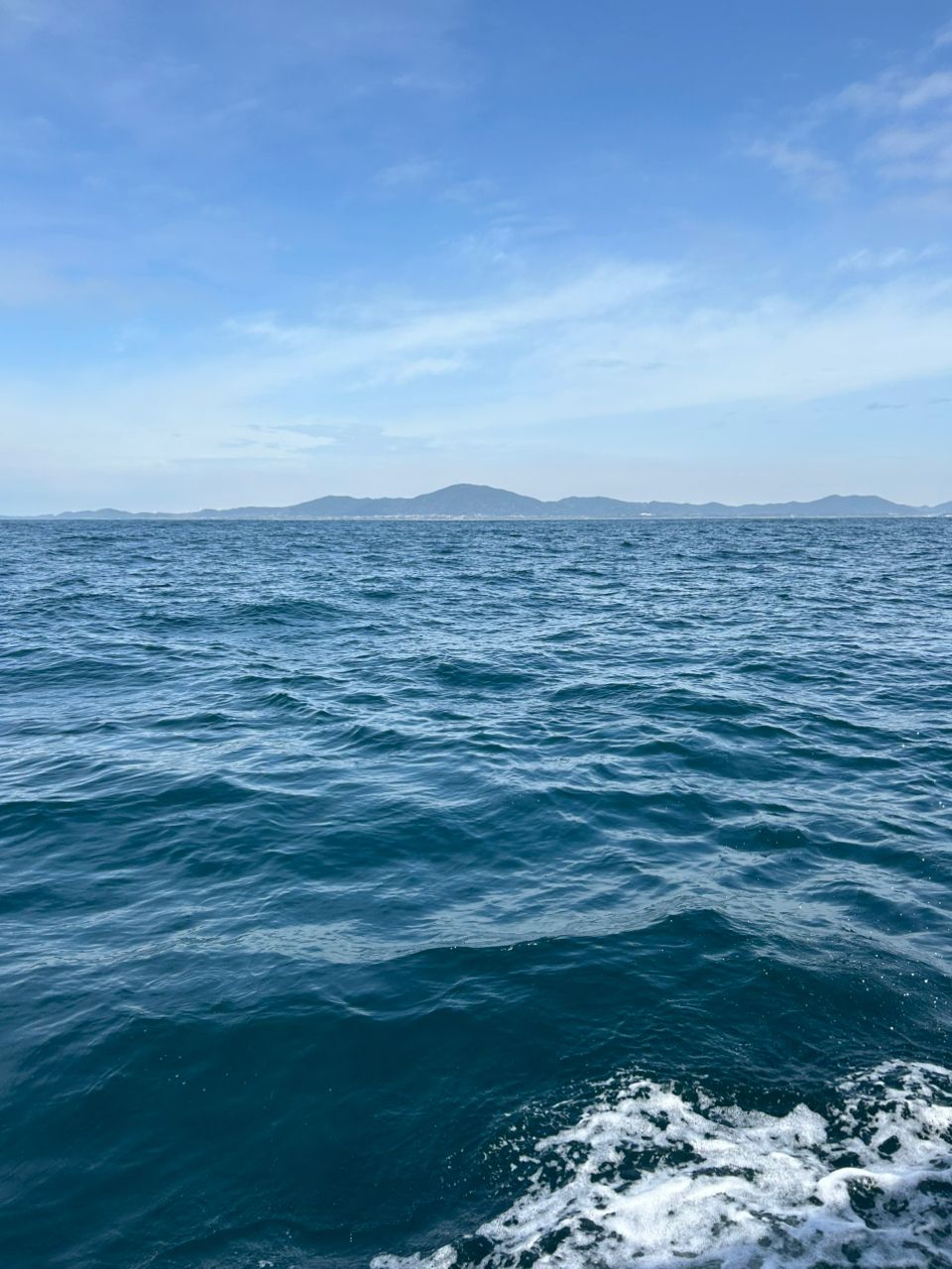 カゲ◯ウさんの釣果 3枚目の画像