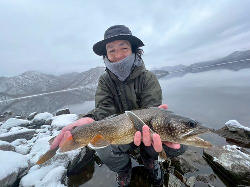 t*7様 クマタニトラスト　ヤマセ　130F テネシーシャッド クマタニトラスト Yamase130F ヤマセ130F | Fishing Tackle BLUE