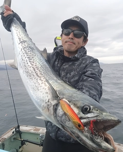 サワラの釣果