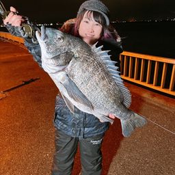 チヌ