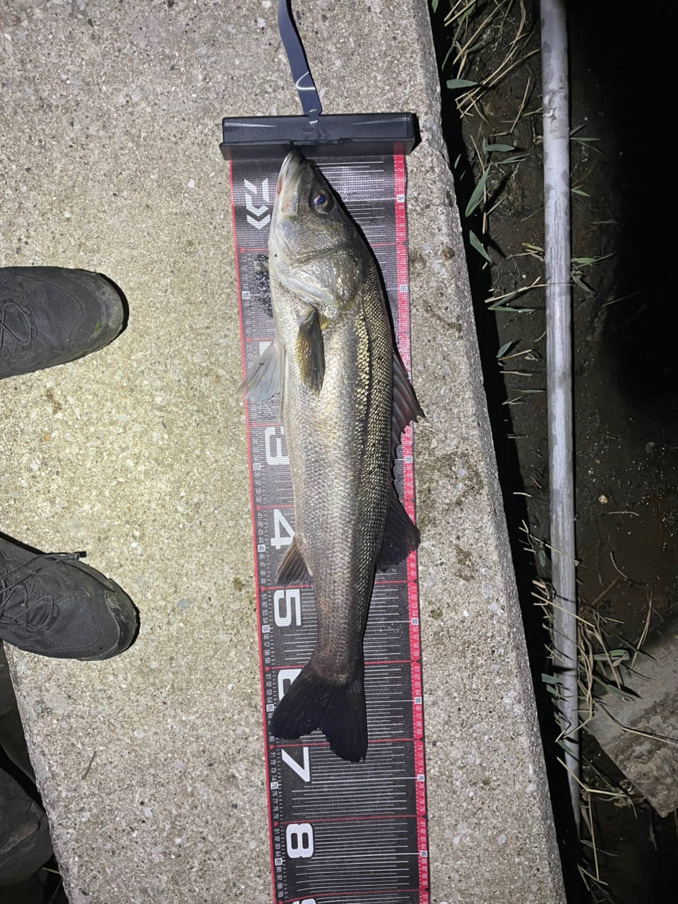 DAIWA 21ラブラックス AGS 100MLの最安値・インプレ・釣果