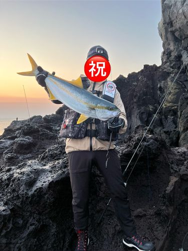 ヒラマサの釣果