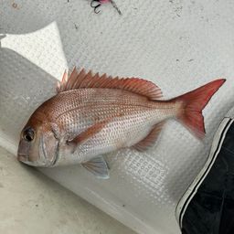 タイ