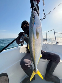ブリの釣果