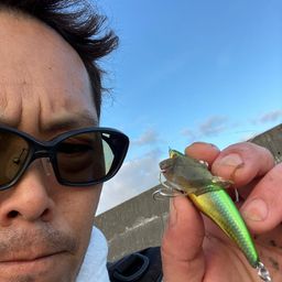 ヒラメ