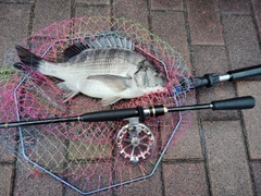 釣果