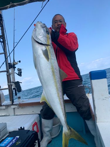 ヒラマサの釣果