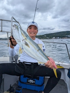 ハマチの釣果