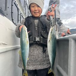 ハマチ