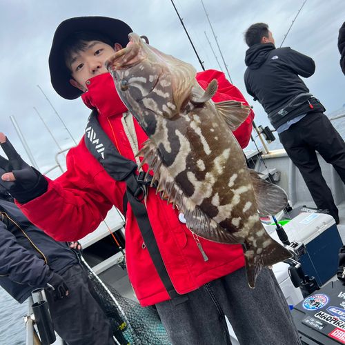 クエの釣果