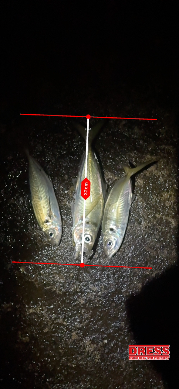 SHIMANO 14ブルズアイ 5050の最安値・インプレ・釣果 | 本音の