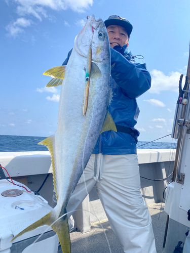 ヒラマサの釣果