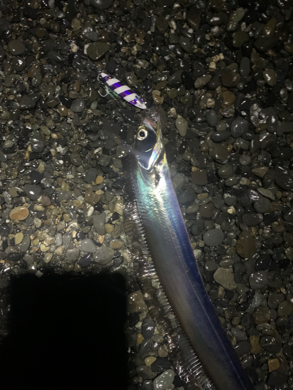 SHIMANO 19ソルティーアドバンス SHORE JIGGING S100MHの最安値