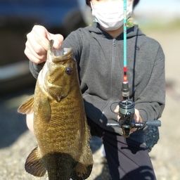 スモールマウスバス