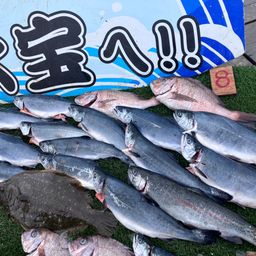 トラウトサーモン