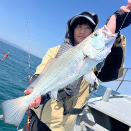 ハマチ