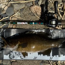 スモールマウスバス